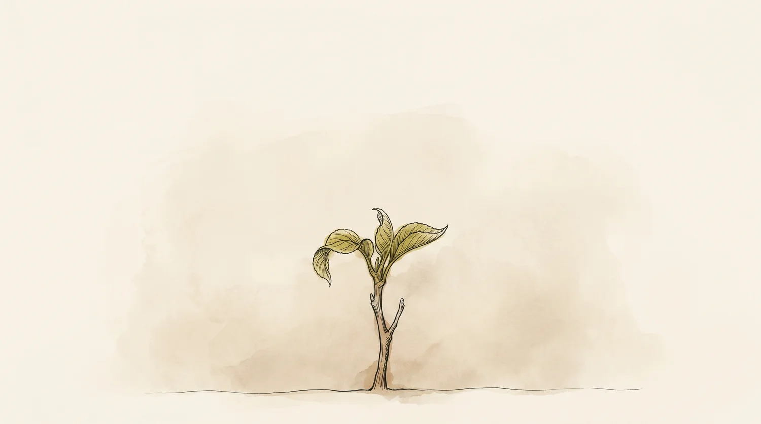 A fine line illustration of a single stem with two small leaves just unfurling, set against a soft gradient running from pale cream at the top to a warmer, deeper tone near the ground.
